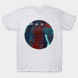 Bright-Eyed mycat, revolution for cats T-Shirt